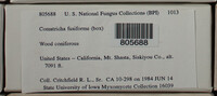 Image Associated With the Occurence